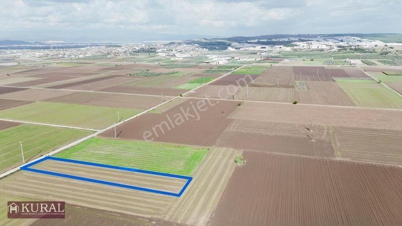 İzmir Menderes Tekelide 4644 M2 1/2 Hisseli Asalt Yol Cepheli — fotoğraf 10