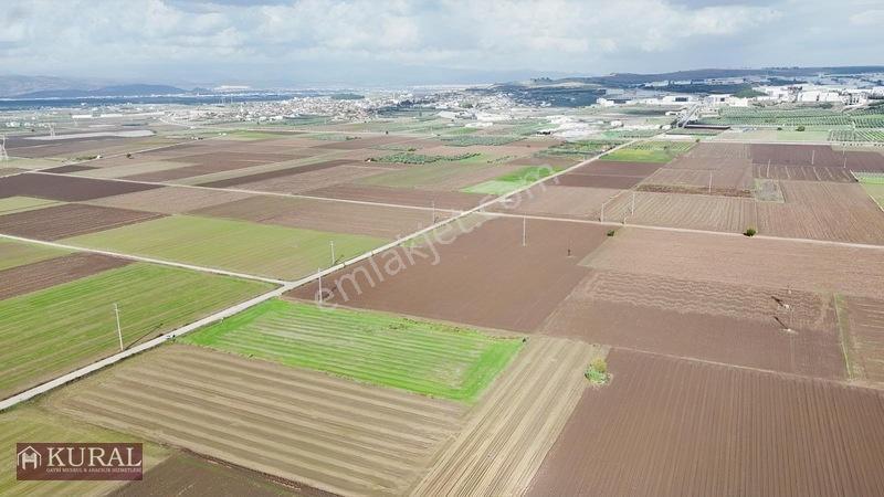 İzmir Menderes Tekelide 4644 M2 1/2 Hisseli Asalt Yol Cepheli — fotoğraf 11