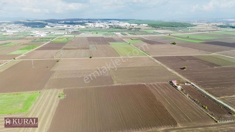 İzmir Menderes Tekelide 4644 M2 1/2 Hisseli Asalt Yol Cepheli — fotoğraf 13