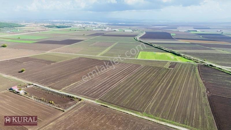 İzmir Menderes Tekelide 4644 M2 1/2 Hisseli Asalt Yol Cepheli — fotoğraf 14