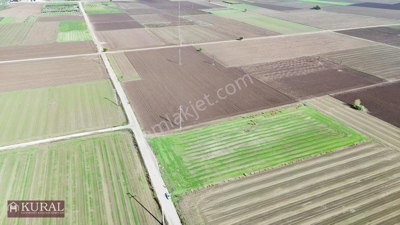 İzmir Menderes Tekelide 4644 M2 1/2 Hisseli Asalt Yol Cepheli — fotoğraf 15
