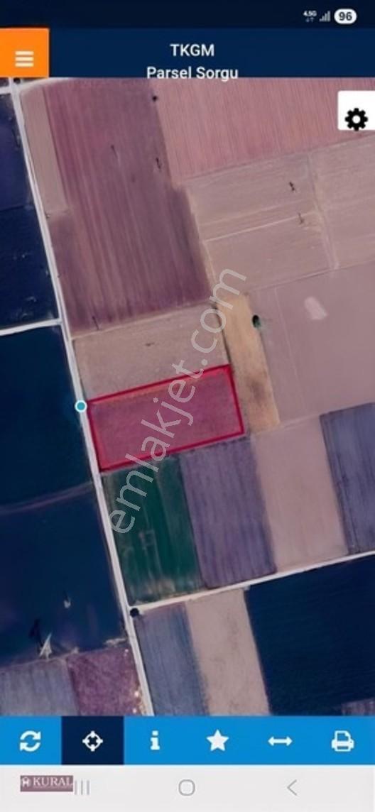 İzmir Menderes Tekelide 4644 M2 1/2 Hisseli Asalt Yol Cepheli — fotoğraf 16