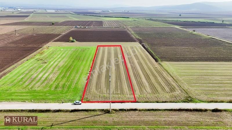 İzmir Menderes Tekelide 4644 M2 1/2 Hisseli Asalt Yol Cepheli — fotoğraf 17