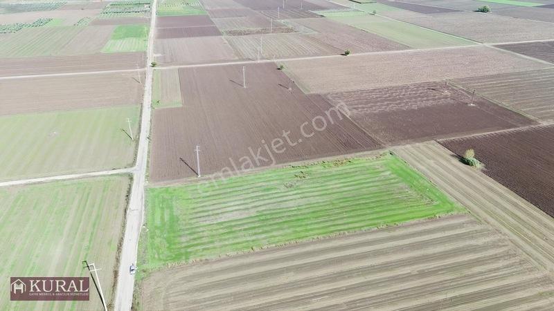 İzmir Menderes Tekelide 4644 M2 1/2 Hisseli Asalt Yol Cepheli — fotoğraf 18