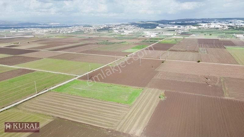 İzmir Menderes Tekelide 4644 M2 1/2 Hisseli Asalt Yol Cepheli — fotoğraf 19