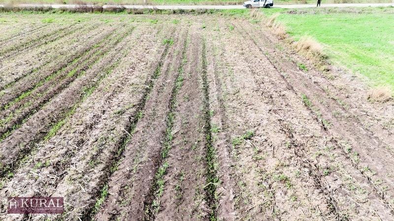 İzmir Menderes Tekelide 4644 M2 1/2 Hisseli Asalt Yol Cepheli — fotoğraf 21