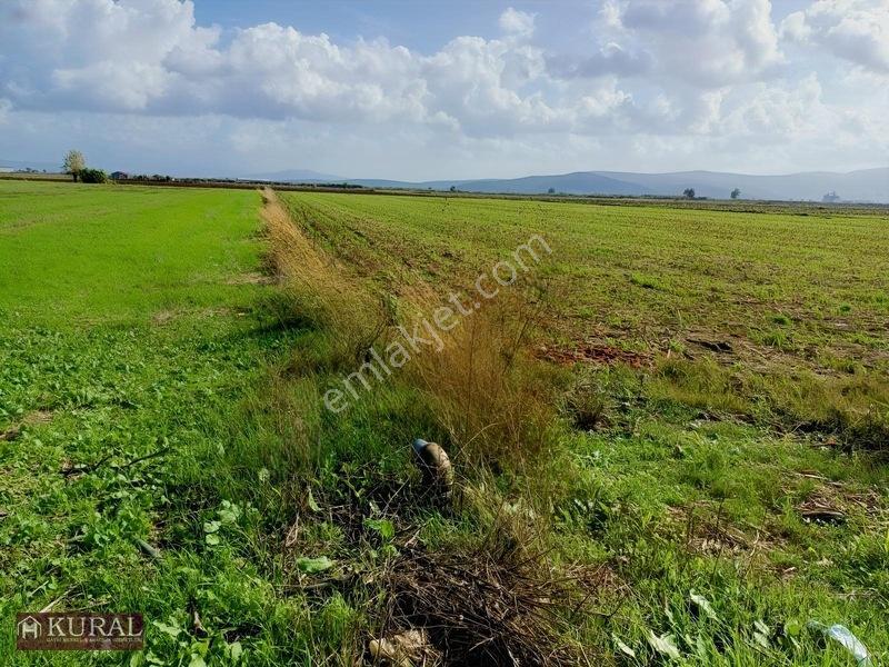 İzmir Menderes Tekelide 4644 M2 1/2 Hisseli Asalt Yol Cepheli — fotoğraf 22