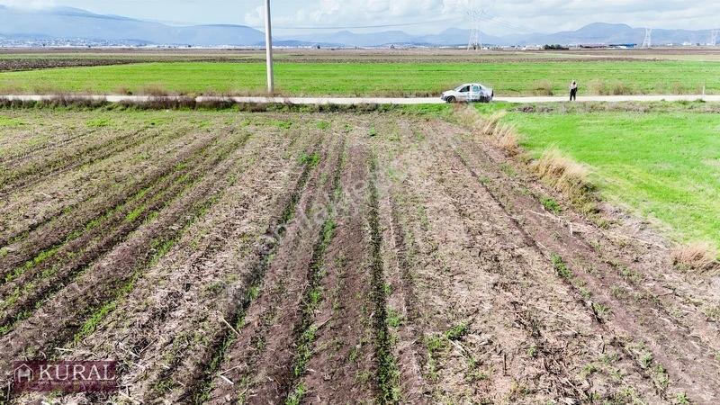 İzmir Menderes Tekelide 4644 M2 1/2 Hisseli Asalt Yol Cepheli — fotoğraf 23