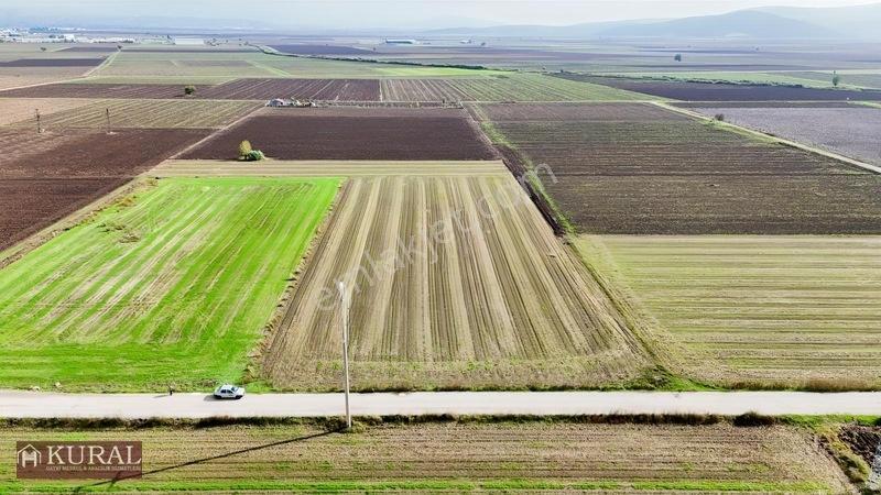 İzmir Menderes Tekelide 4644 M2 1/2 Hisseli Asalt Yol Cepheli — fotoğraf 25