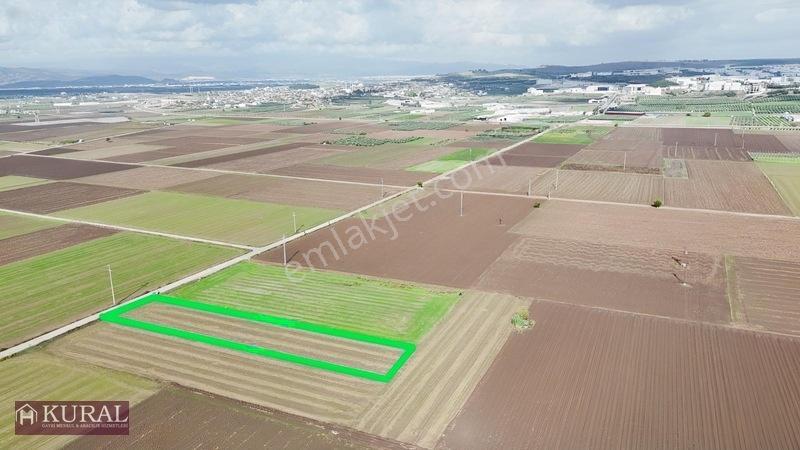 İzmir Menderes Tekelide 4644 M2 1/2 Hisseli Asalt Yol Cepheli — fotoğraf 26