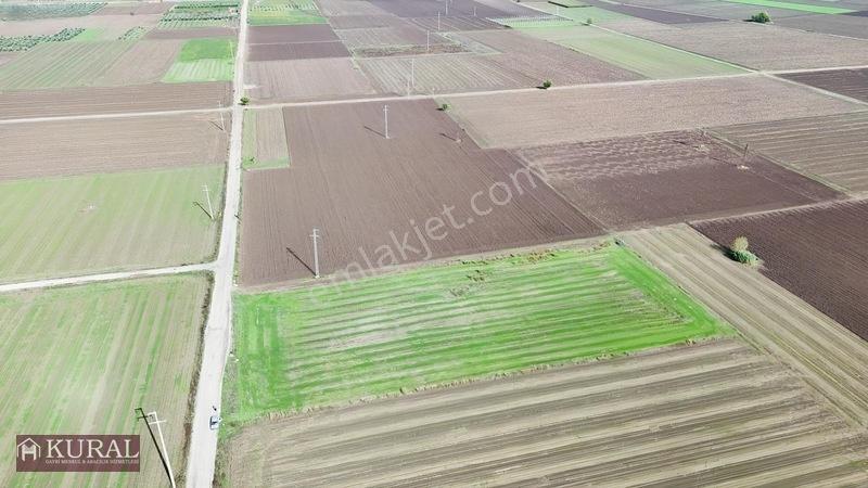 İzmir Menderes Tekelide 4644 M2 1/2 Hisseli Asalt Yol Cepheli — fotoğraf 27