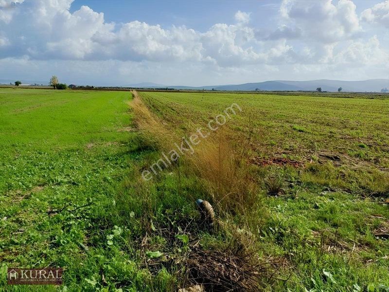 İzmir Menderes Tekelide 4644 M2 1/2 Hisseli Asalt Yol Cepheli — fotoğraf 28
