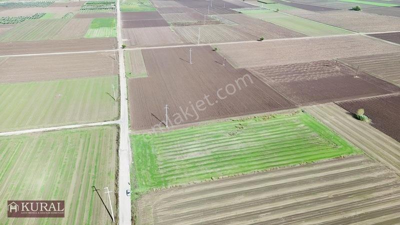 İzmir Menderes Tekelide 4644 M2 1/2 Hisseli Asalt Yol Cepheli — fotoğraf 29