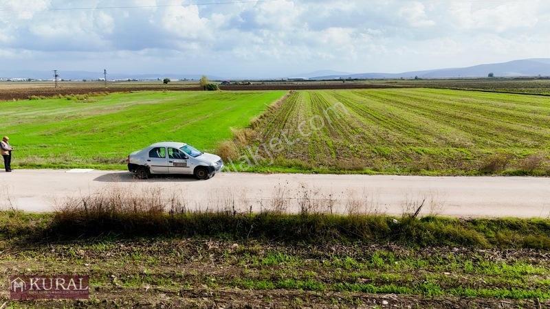 İzmir Menderes Tekelide 4644 M2 1/2 Hisseli Asalt Yol Cepheli — fotoğraf 30