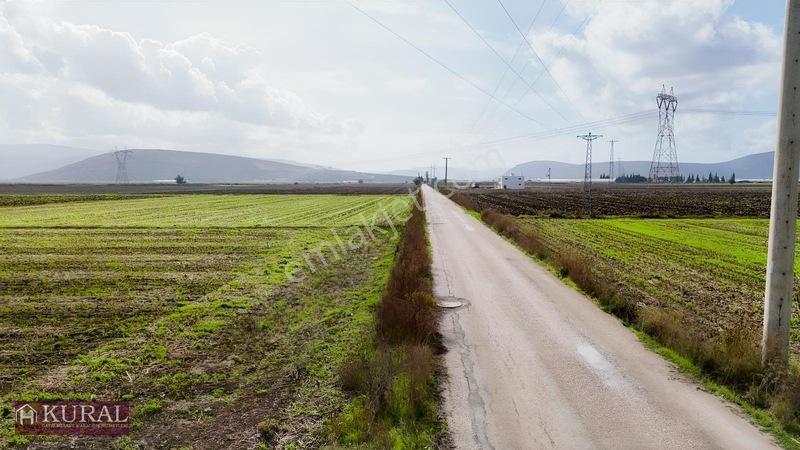 İzmir Menderes Tekelide 4644 M2 1/2 Hisseli Asalt Yol Cepheli — fotoğraf 31