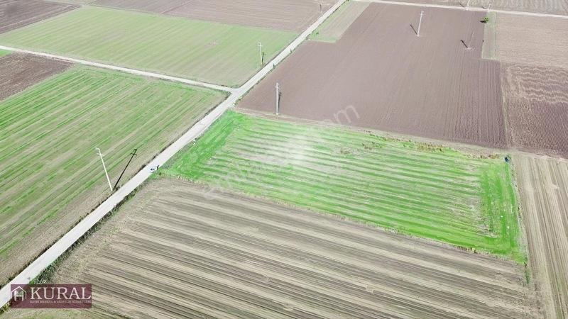 İzmir Menderes Tekelide 4644 M2 1/2 Hisseli Asalt Yol Cepheli — fotoğraf 32