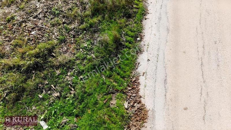 İzmir Menderes Tekelide 4644 M2 1/2 Hisseli Asalt Yol Cepheli — fotoğraf 33