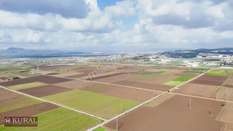 İzmir Menderes Tekelide 4644 M2 1/2 Hisseli Asalt Yol Cepheli — fotoğraf 34