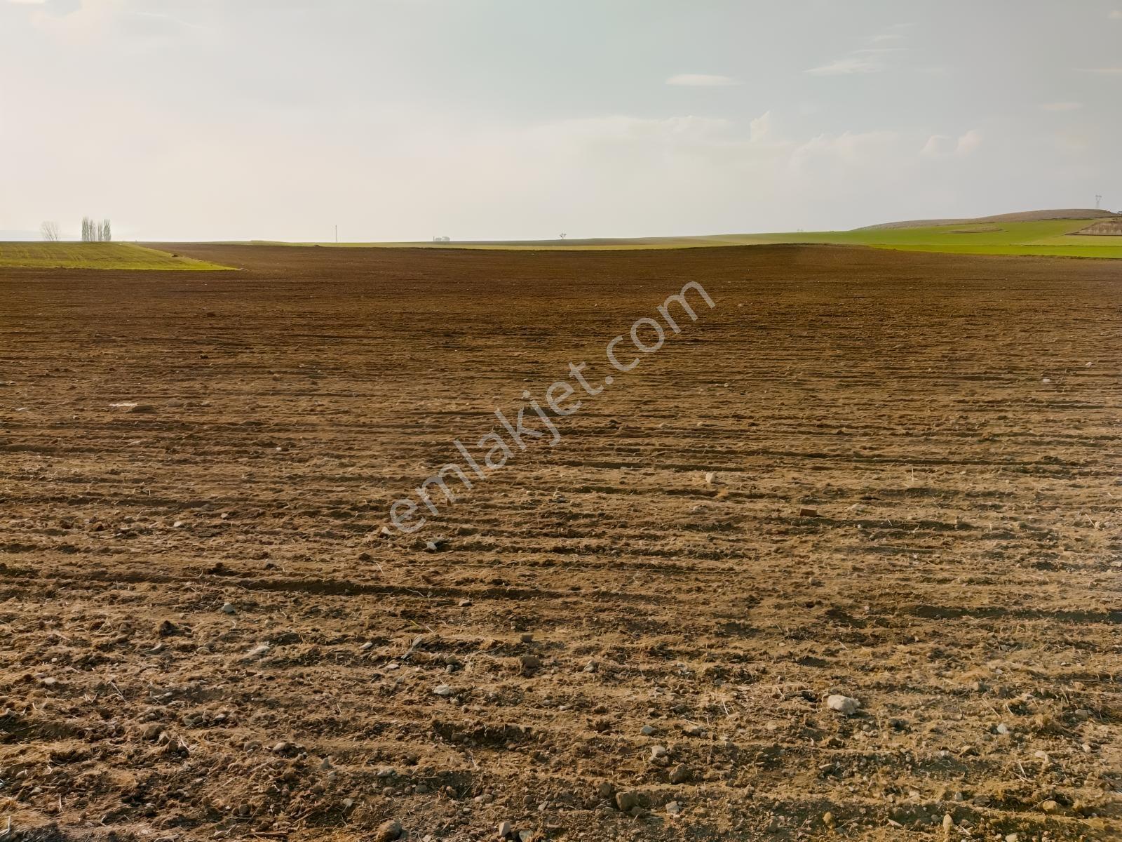 Rw Detay'dan Tepebaşı Hisar Mahallesinde Satılık Tarla — fotoğraf 2