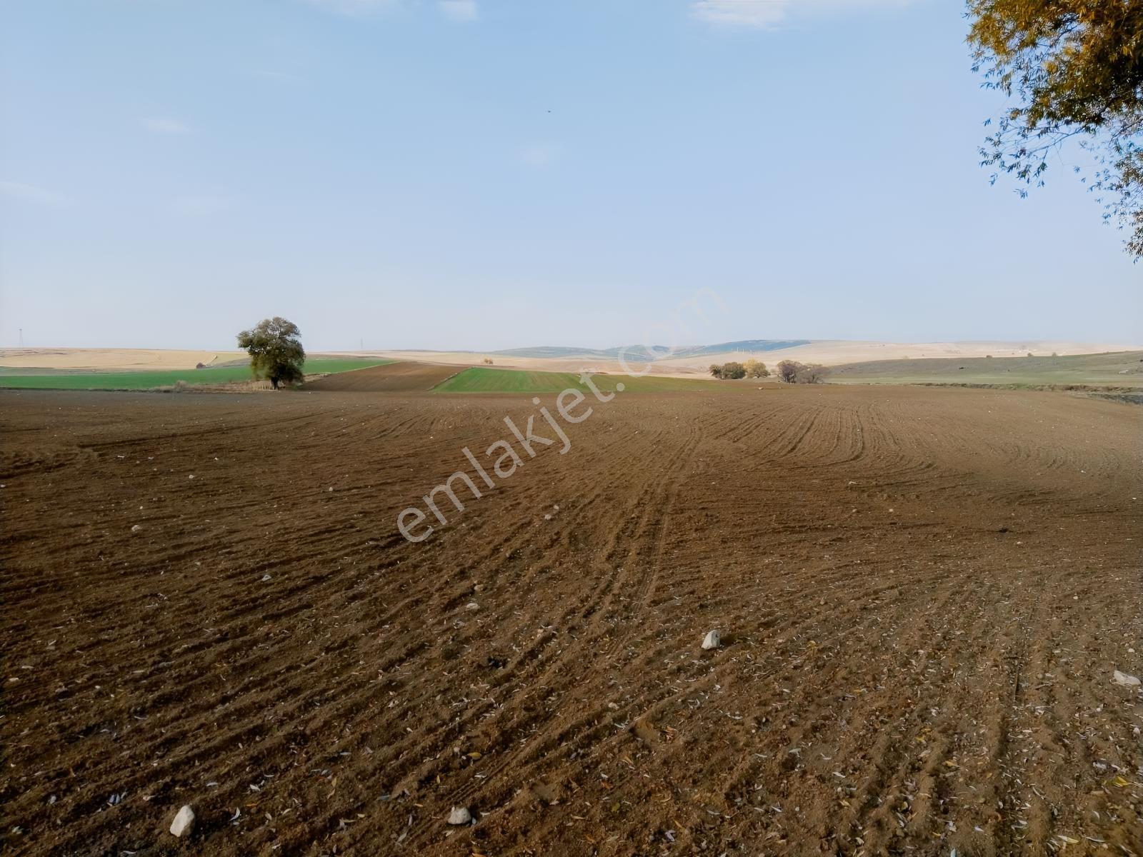 Rw Detay'dan Tepebaşı Hisar Mahallesinde Satılık Tarla — fotoğraf 4