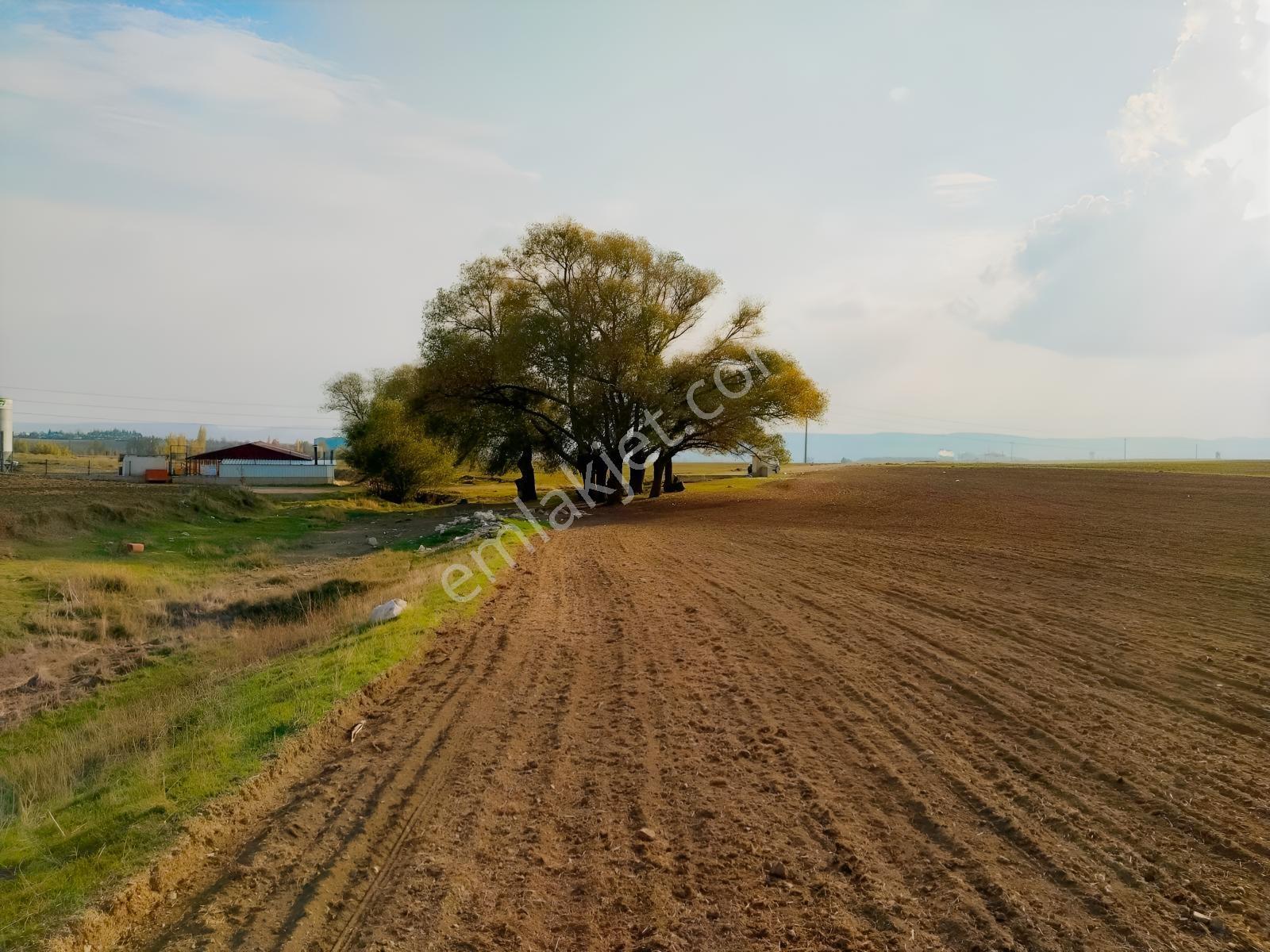 Rw Detay'dan Tepebaşı Hisar Mahallesinde Satılık Tarla — fotoğraf 8