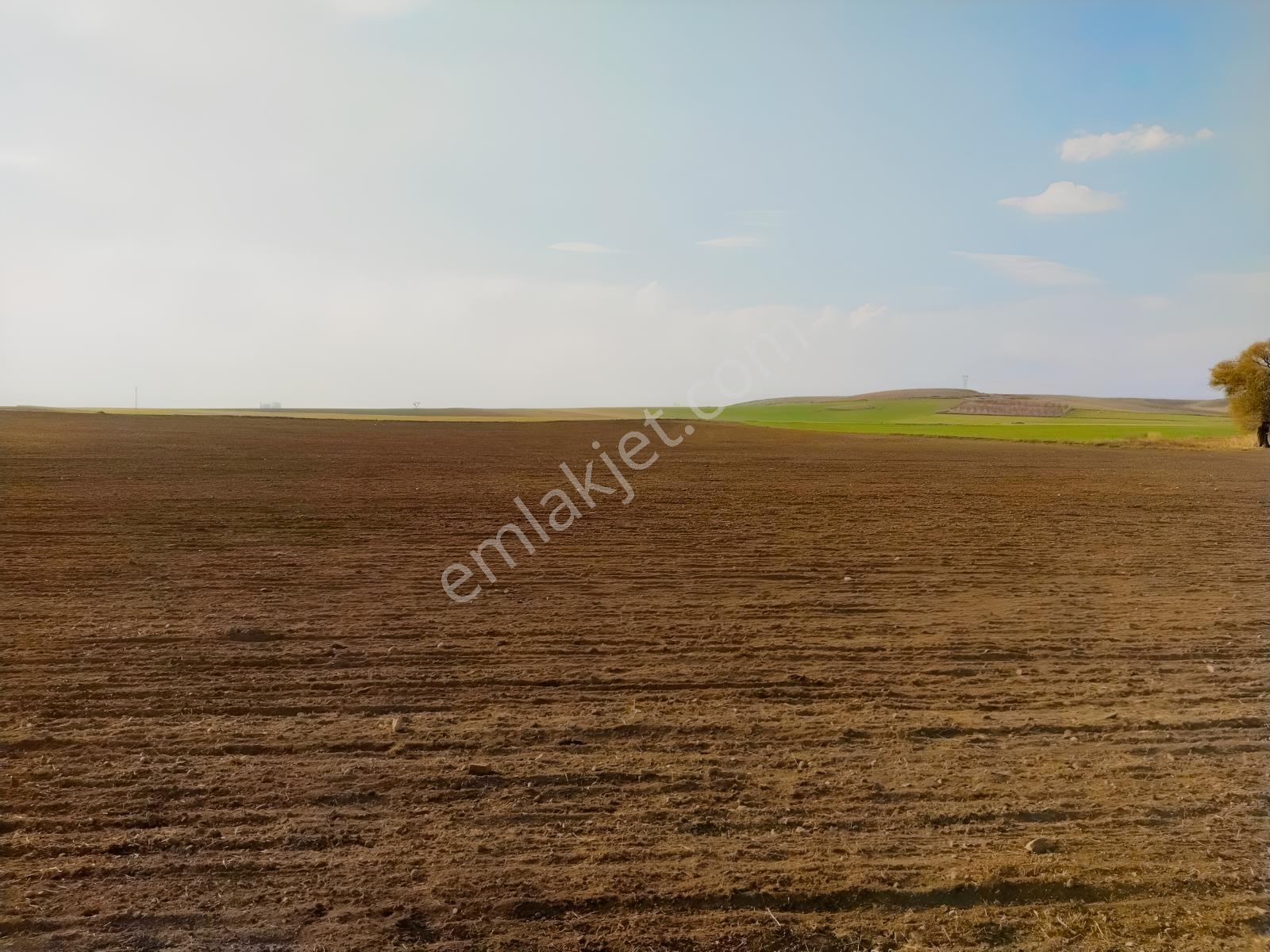 Rw Detay'dan Tepebaşı Hisar Mahallesinde Satılık Tarla — fotoğraf 9