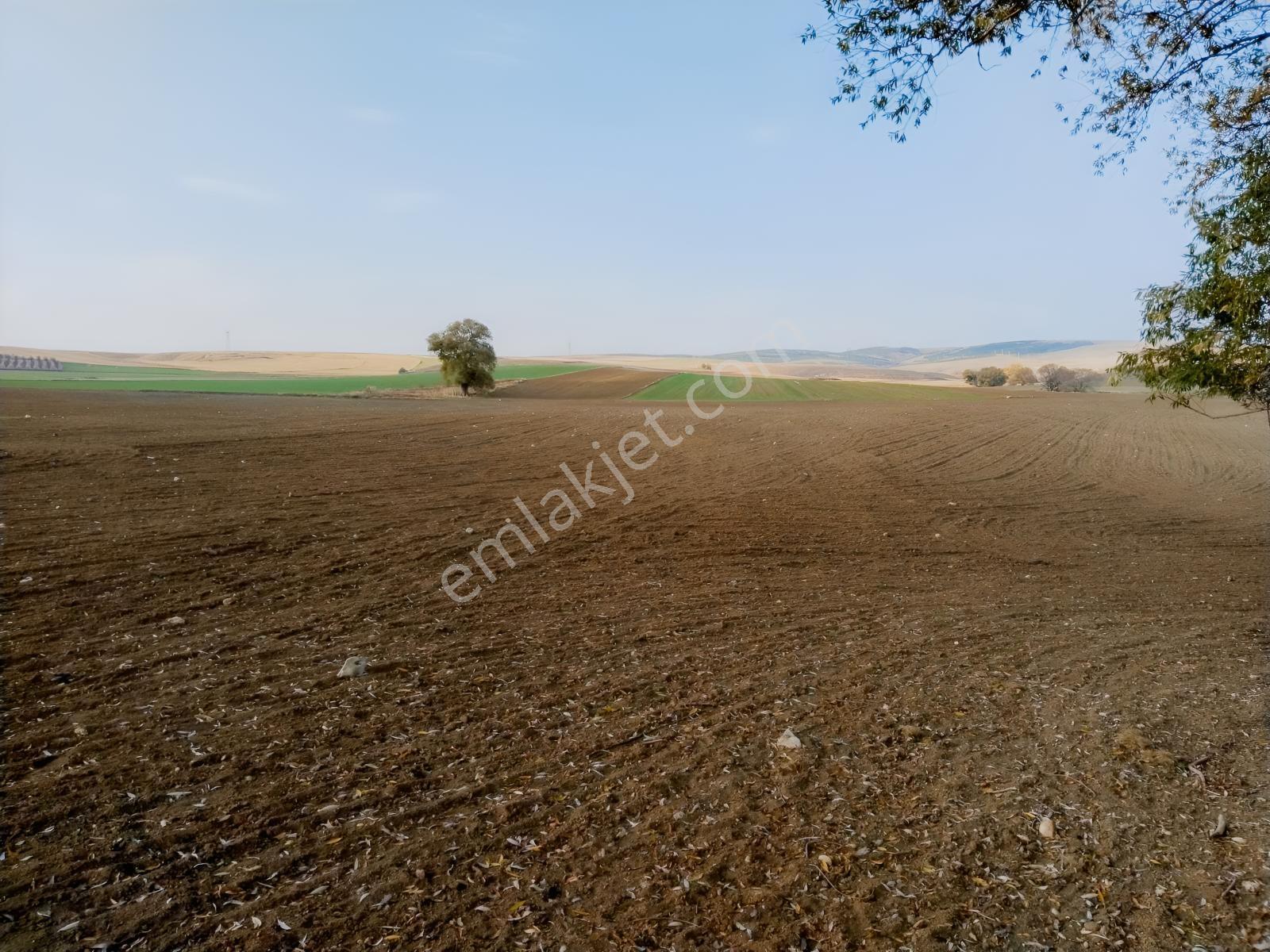 Rw Detay'dan Tepebaşı Hisar Mahallesinde Satılık Tarla — fotoğraf 10