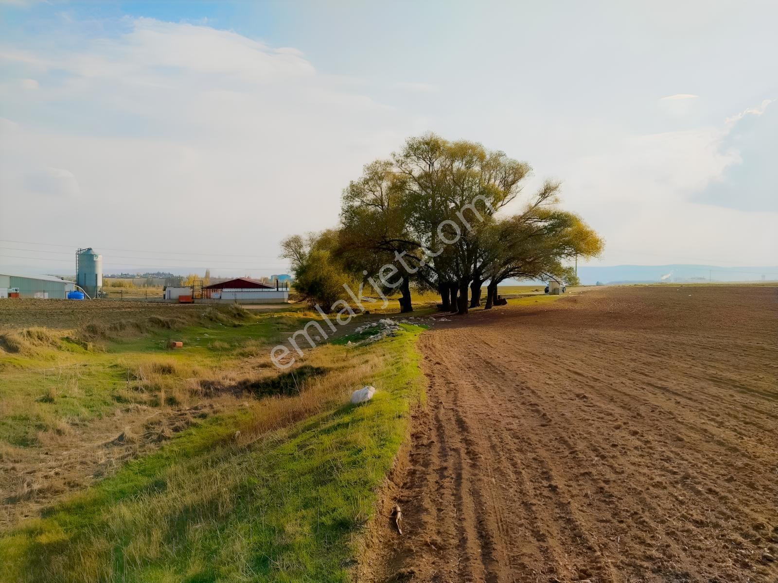 Rw Detay'dan Tepebaşı Hisar Mahallesinde Satılık Tarla — fotoğraf 11