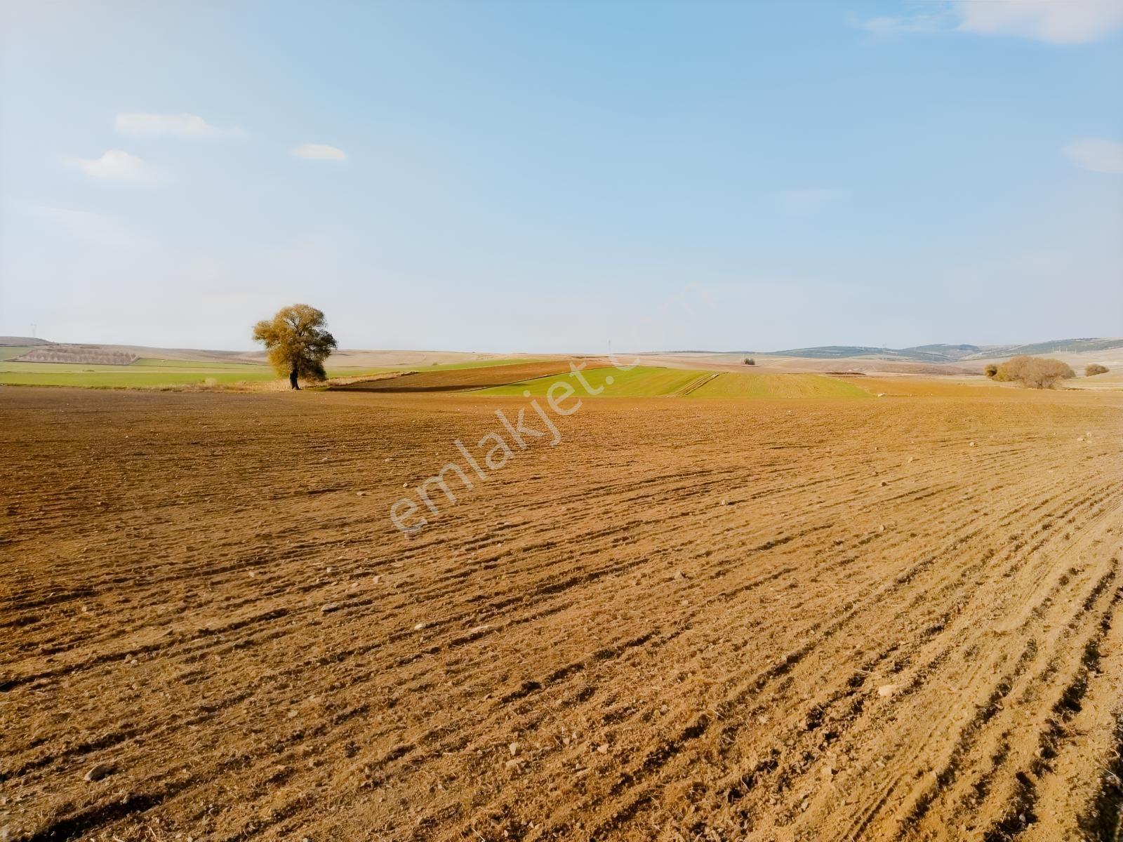 Rw Detay'dan Tepebaşı Hisar Mahallesinde Satılık Tarla — fotoğraf 12