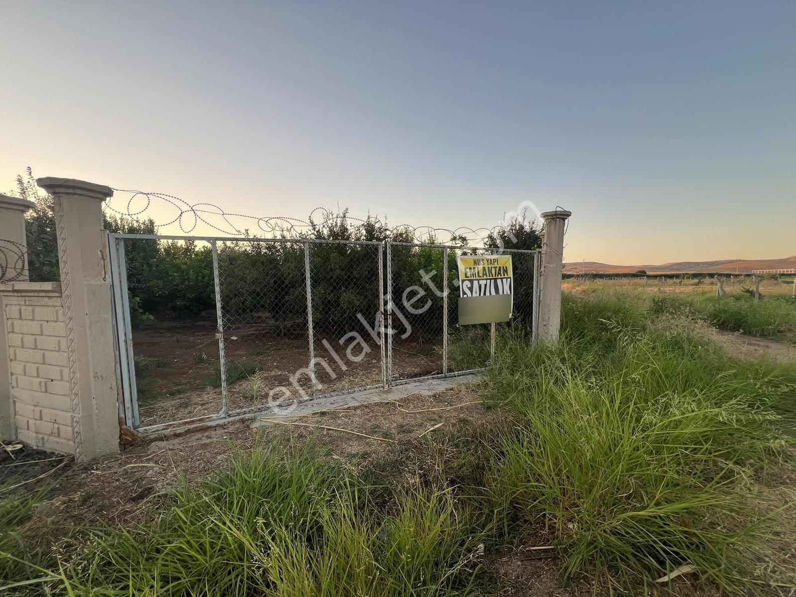 Mardin Nusaybin İlçesi Sanayi Sitesi Arkası Satılık Arsa — fotoğraf 5