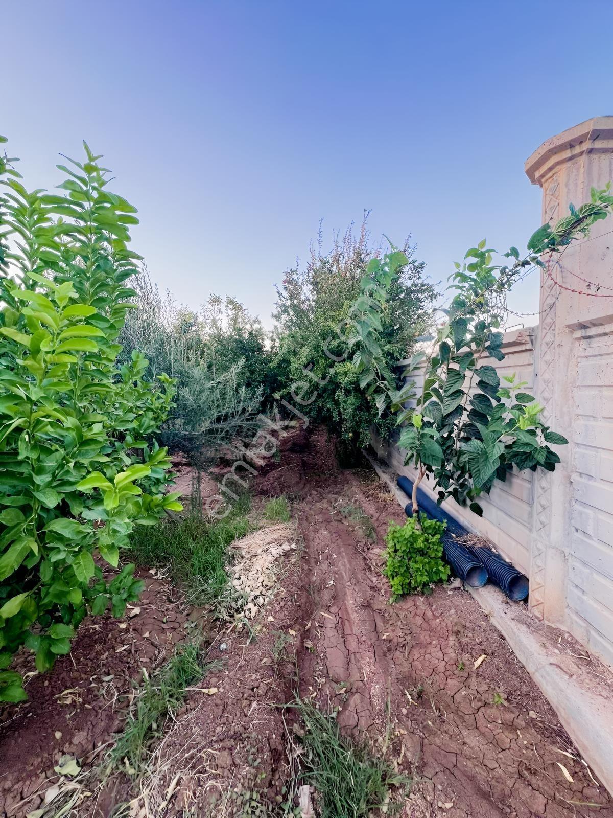 Mardin Nusaybin İlçesi Sanayi Sitesi Arkası Satılık Arsa — fotoğraf 8