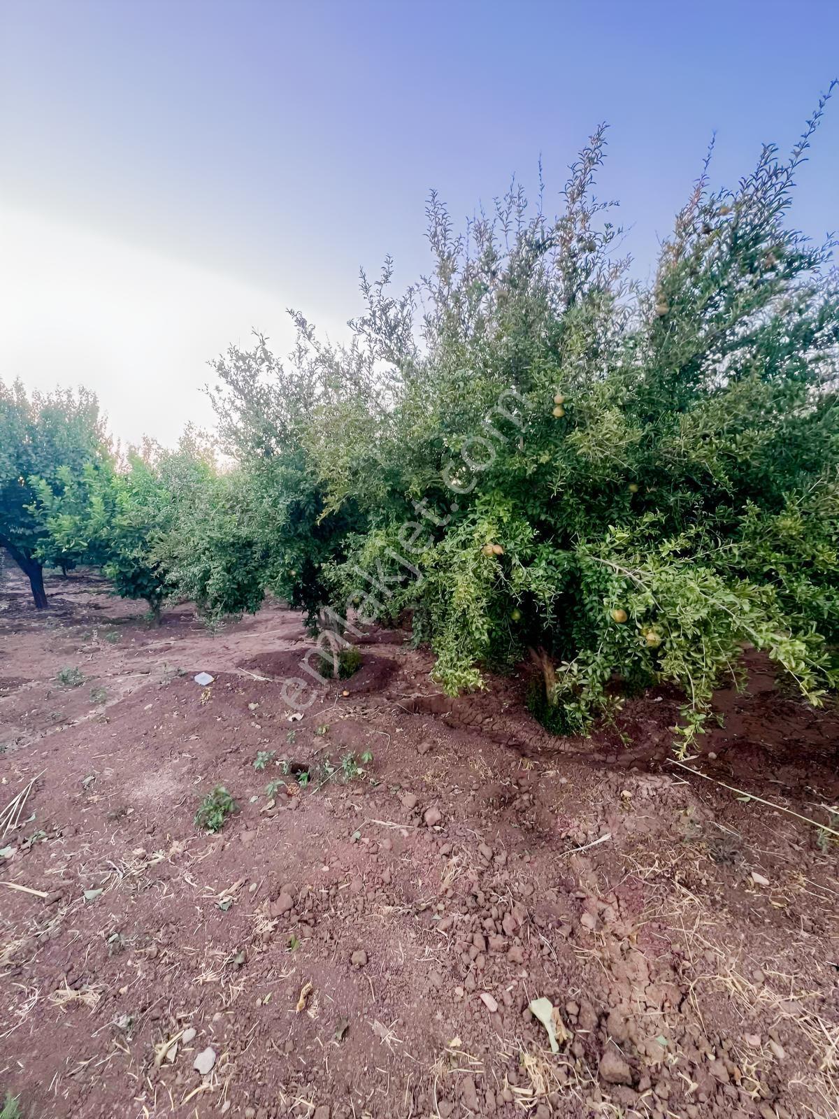 Mardin Nusaybin İlçesi Sanayi Sitesi Arkası Satılık Arsa — fotoğraf 9