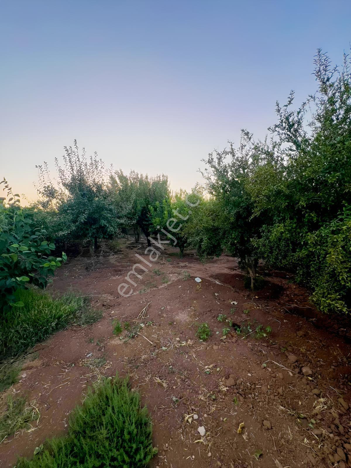 Mardin Nusaybin İlçesi Sanayi Sitesi Arkası Satılık Arsa — fotoğraf 10