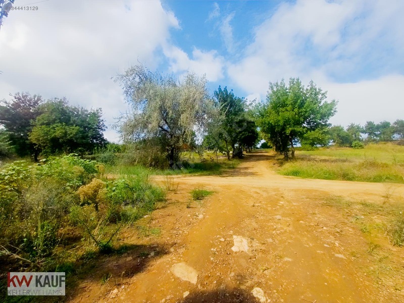 Satılık Ticari Arsa İlkadım Derecik 1.250 M² — fotoğraf 11