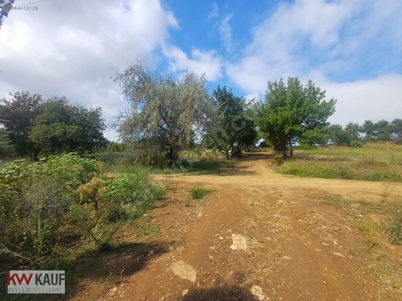 Satılık Ticari Arsa İlkadım Derecik 1.250 M² — fotoğraf 15