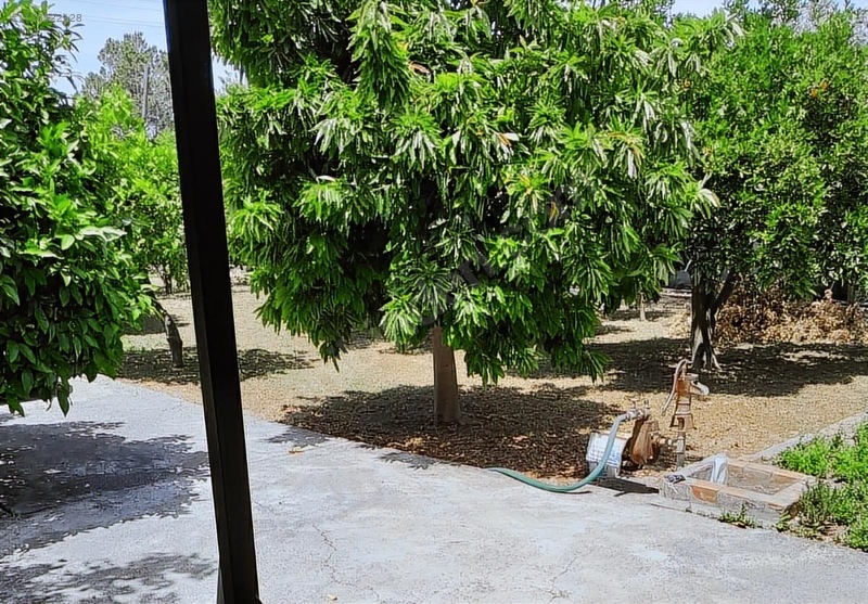 Ortaca - Güzelyurt Mah. 970 M2 Arsa İçerisinde 2+1 Köy Evi — fotoğraf 11