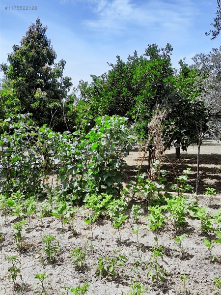 Ortaca - Güzelyurt Mah. 970 M2 Arsa İçerisinde 2+1 Köy Evi — fotoğraf 20