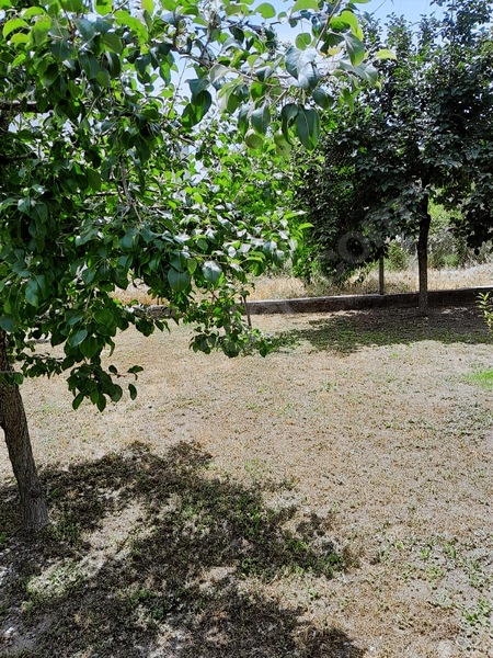 Ortaca - Güzelyurt Mah. 970 M2 Arsa İçerisinde 2+1 Köy Evi — fotoğraf 22