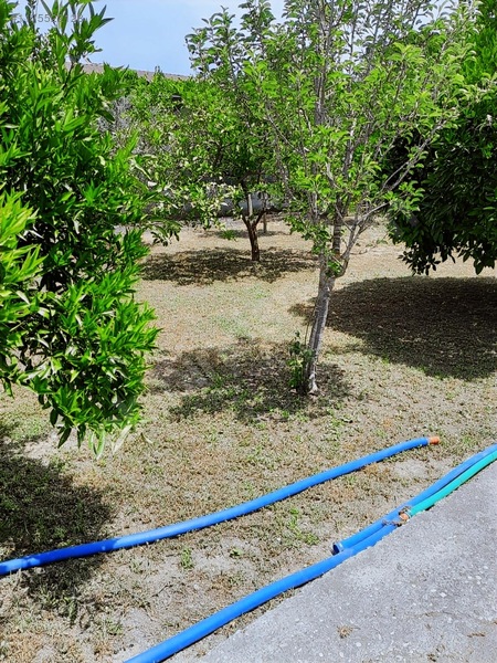 Ortaca - Güzelyurt Mah. 970 M2 Arsa İçerisinde 2+1 Köy Evi — fotoğraf 25