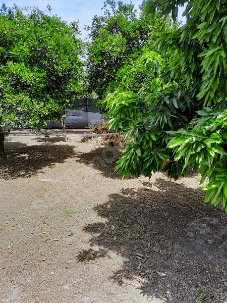 Ortaca - Güzelyurt Mah. 970 M2 Arsa İçerisinde 2+1 Köy Evi — fotoğraf 26