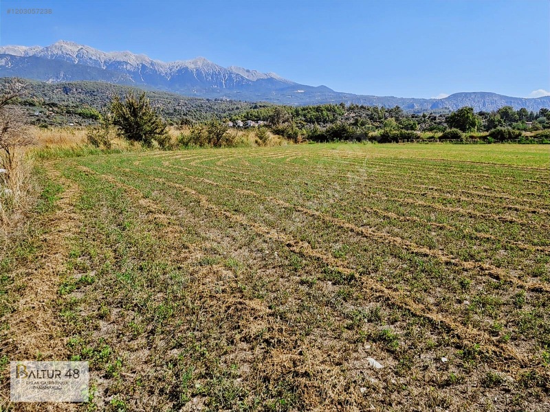 Seydikemer Kadıköy'de 11.142m² Yatırımlık Arazi Fırsatı — fotoğraf 10