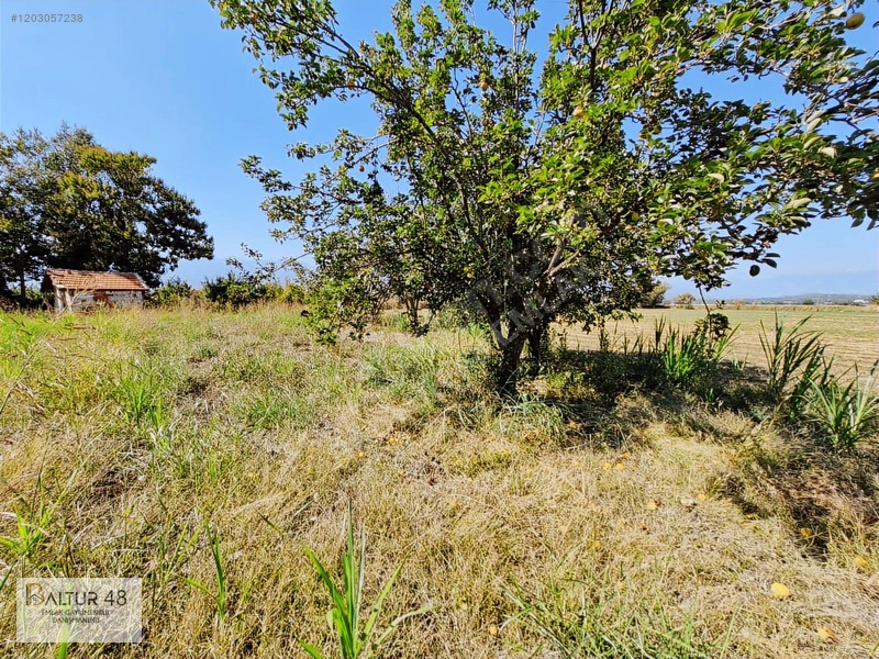 Seydikemer Kadıköy'de 11.142m² Yatırımlık Arazi Fırsatı — fotoğraf 13