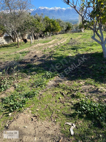 Seydikemer Kadıköy'de 20/40 Konut İmarlı, 655 M² Arsa Fırsatı — fotoğraf 11