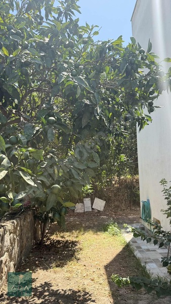 Yalıkavak Tilkicikde Satılık Müstakil — fotoğraf 24