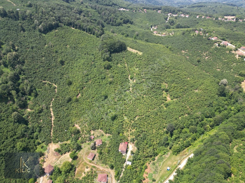 Düzce Gümüşova Dereköy 18.930m² Satılık Fındık Bahçesi — fotoğraf 5