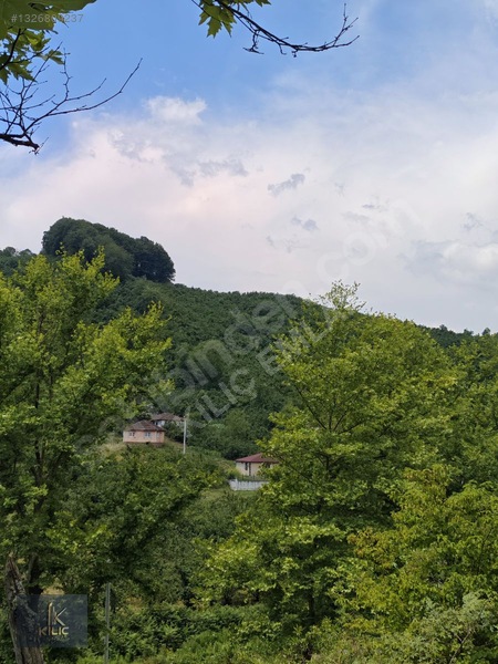 Düzce Gümüşova Dereköy 18.930m² Satılık Fındık Bahçesi — fotoğraf 11