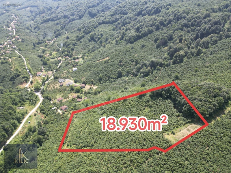Düzce Gümüşova Dereköy 18.930m² Satılık Fındık Bahçesi — fotoğraf 12