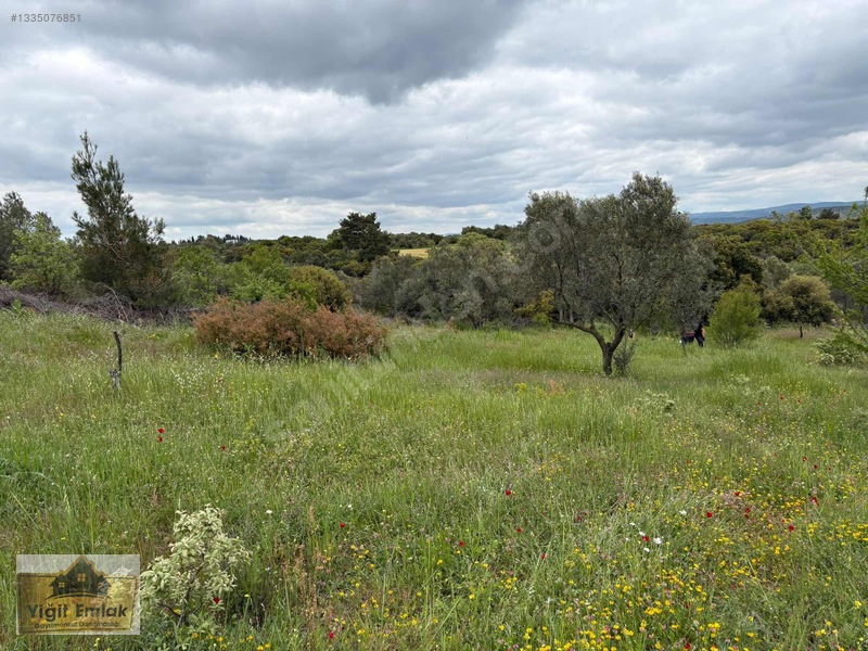 Karadağ Köyünde 600 M2 Tarla — fotoğraf 2