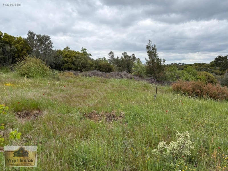 Karadağ Köyünde 600 M2 Tarla — fotoğraf 3