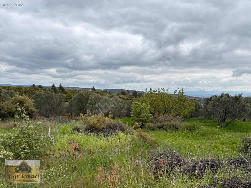 Karadağ Köyünde 600 M2 Tarla — fotoğraf 4